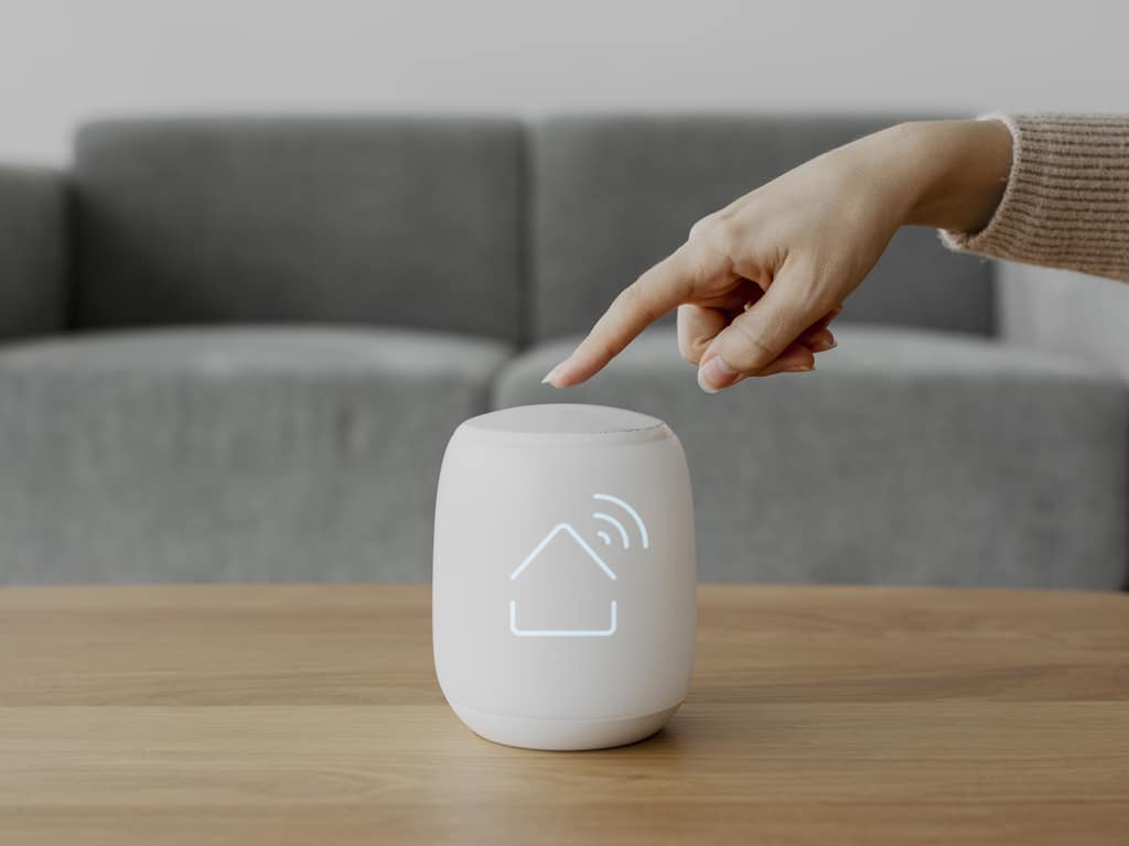 What-are-Voice-Search-and-Smart-Speakers-rapidpage